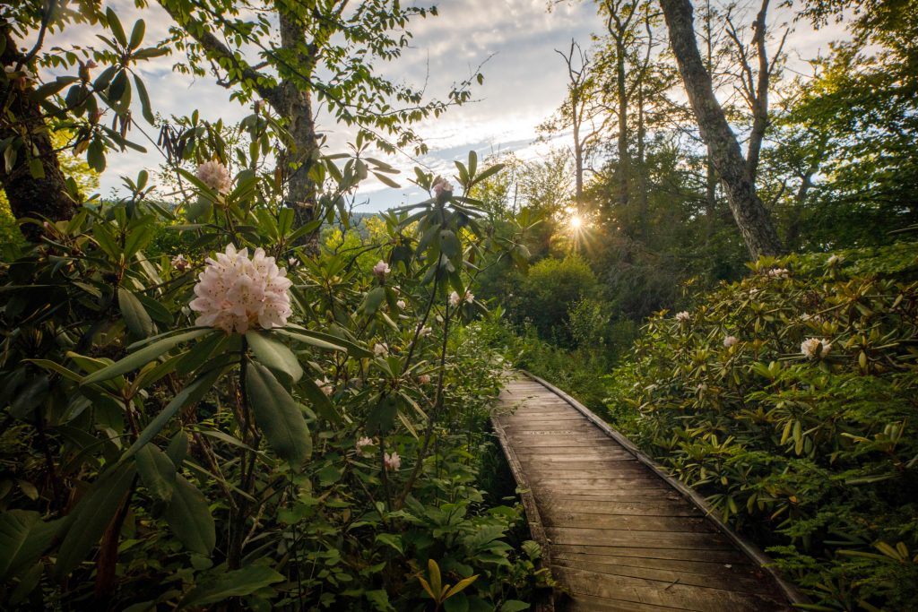 The current image has no alternative text. The file name is: image-10.jpg