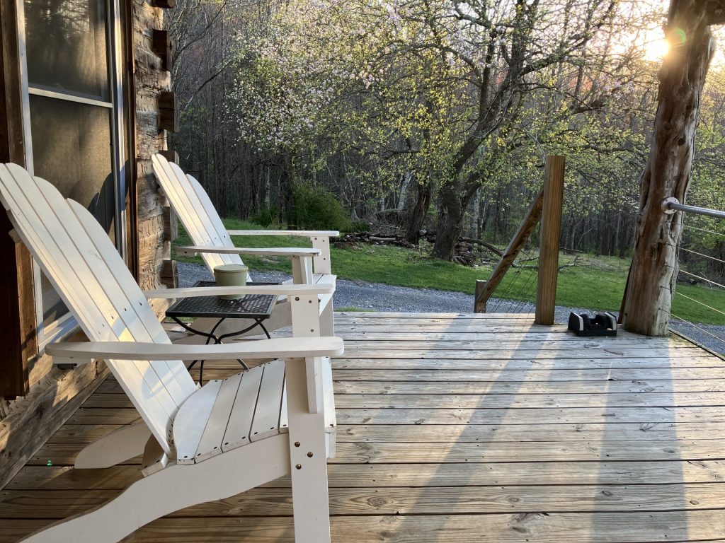 A wood-plank front porch lined with rocking chairs looking out onto a green lawn surrounded by trees. 