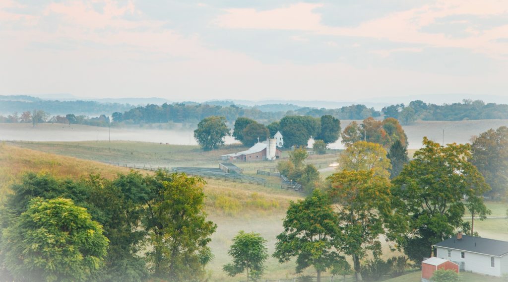 The current image has no alternative text. The file name is: Foggy-Landscape-1.jpg