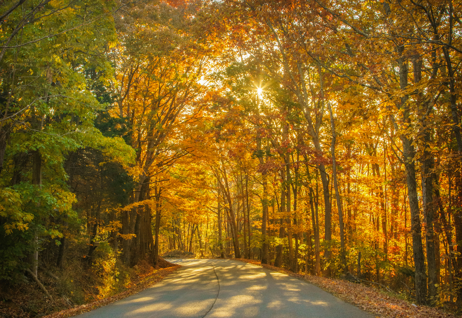 'Under the spell of autumn' -- Fall foliage peaking across West ...