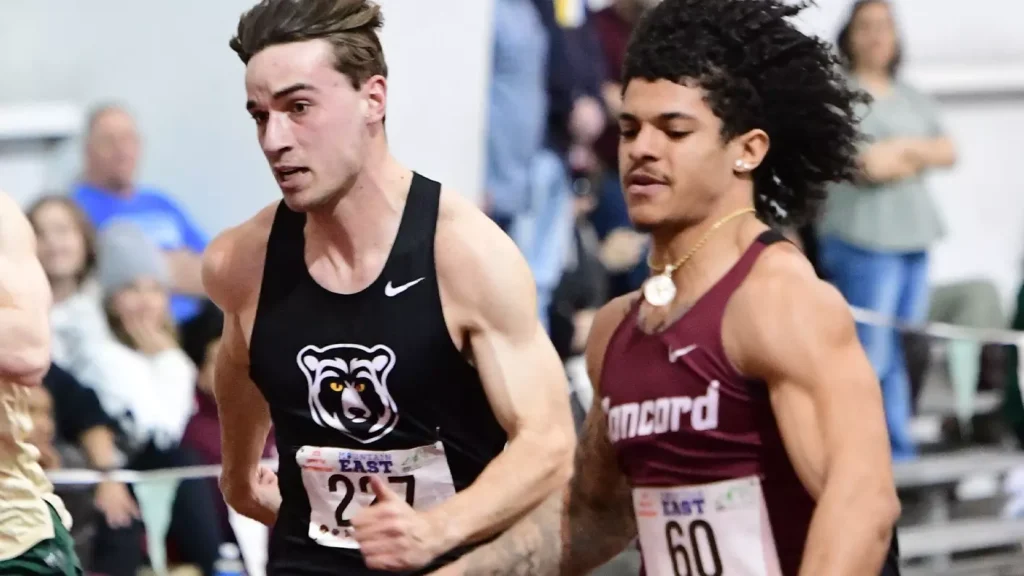 The current image has no alternative text. The file name is: collins-concord.webp