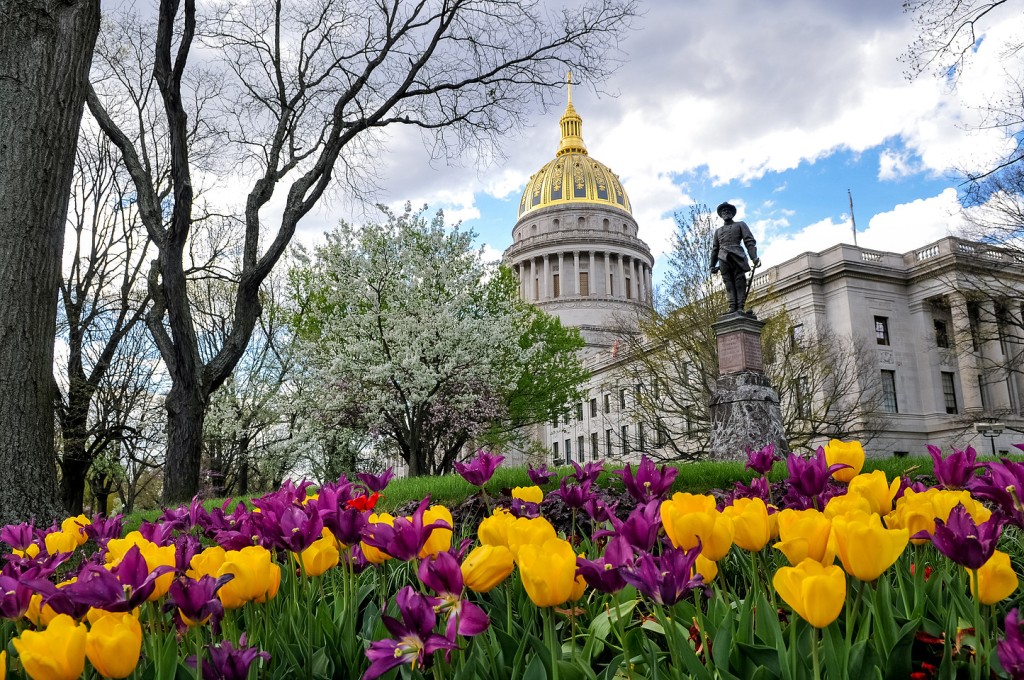 The current image has no alternative text. The file name is: 278_239_8048735_1068876669_6.jpg