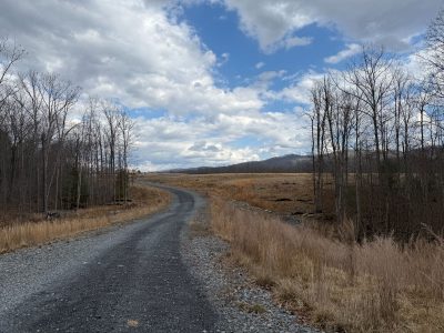 A gravel road between wooded areas under a bright blue, cloudy sky.