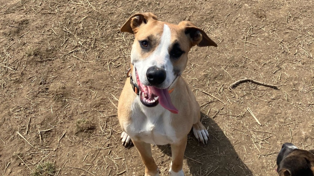 The current image has no alternative text. The file name is: Cash.jpg