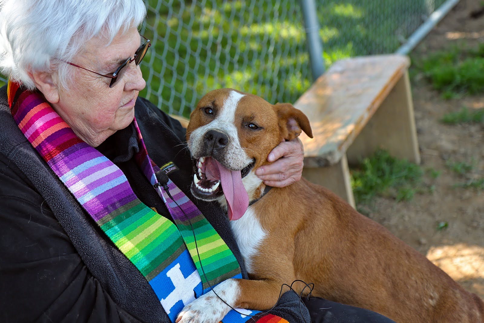 'Blessing of the Animals' for cats & dogs at Greenbrier Humane Society – The Real WV