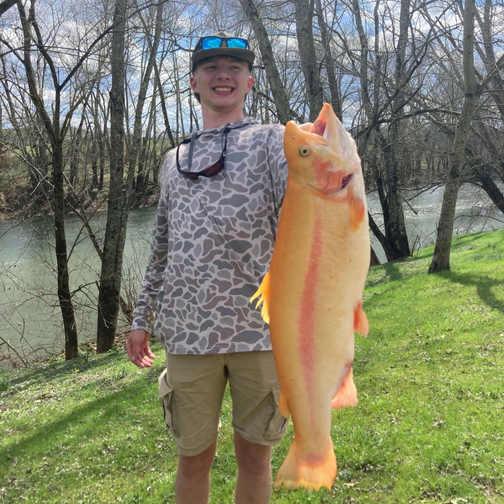 The current image has no alternative text. The file name is: golden-trout-record-scaled.jpg