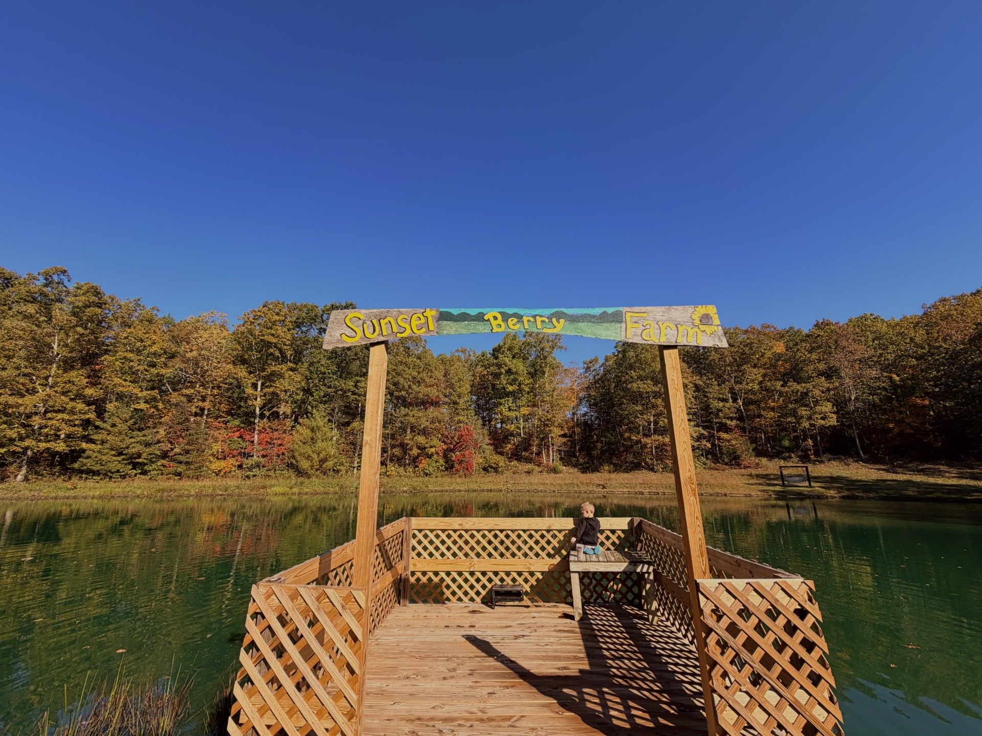 Sunset Berry Farm offering free family fun this Sunday – The Real WV